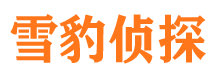 长春捉小三公司